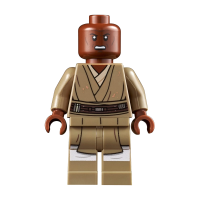 Блочный конструктор LEGO Республиканский боевой корабль (75309)
