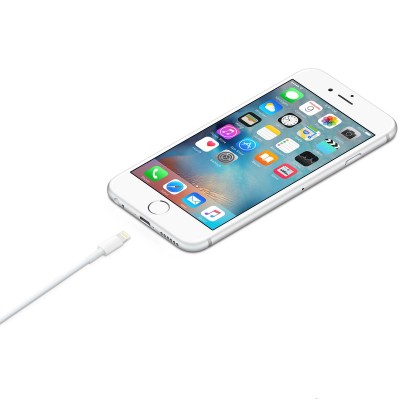 Apple Lightning/USB 1m (MQUE2)