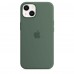 Apple iPhone 13 Silicone Case with MagSafe - Eucalyptus (MN633)