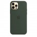 Apple iPhone 12 | 12 Pro Silicone Case with MagSafe - Cyprus Green (MHL33)