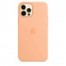 Apple iPhone 12 | 12 Pro Silicone Case with MagSafe - Cantaloupe (MK023)