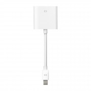 Адаптер Apple Mini DisplayPort to DVI Adapter (MB570Z/A)