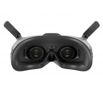 Набор DJI Goggles 2 Motion Combo (CP.FP.00000119.01, CP.FP.00000120.01)