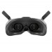 Набор DJI Goggles 2 Motion Combo (CP.FP.00000119.01, CP.FP.00000120.01)