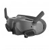 Набор DJI Goggles 2 Motion Combo (CP.FP.00000119.01, CP.FP.00000120.01)