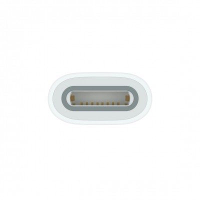 Apple USB-C до Apple Pencil Adapter (MQLU3)