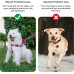 Держатель DLENP Dog Collar Holder for AirTag - Black (B097RLJ77Y)