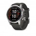 Смарт-годинник Garmin Fenix 7S Pro Solar Edition, 42 мм Silver with Graphite Band (010-02776-00/01)