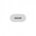 Перехідник Apple USB-C to Lightning Adapter (MUQX3)