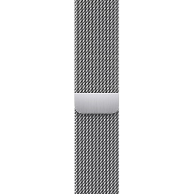 Apple Watch Series 9 GPS + Cellular 41mm Silver Stainless Steel Case with Silver Milanese Loop (MRJ43)
