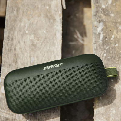 Портативная колонка Bose Soundlink Flex Bluetooth Speaker - Cypress Green (865983-0800)