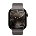 Apple Watch Series 10 GPS + Cellular 46mm Slate Titanium Case with Slate Link Bracelet (MX173+MXMK3)