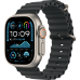 Apple Watch Ultra 2 2024 GPS + Cellular 49mm Natural Titanium Case with Black Ocean Band (MXTL3)