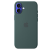 Чехол Apple iPhone 16 Plus Silicone Case with MagSafe - Lake Green (MYYH3)