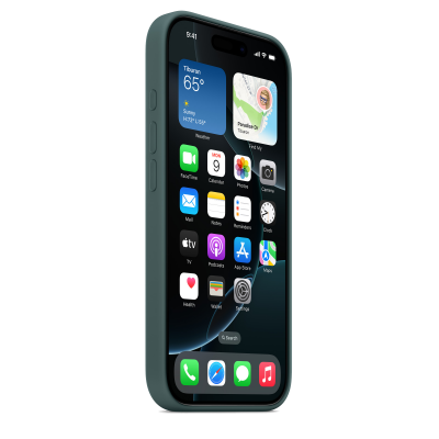 Чехол Apple iPhone 16 Pro Silicone Case with MagSafe - Lake Green (MYYR3)