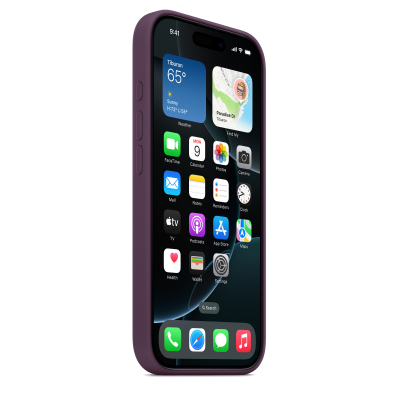 Чехол Apple iPhone 16 Pro Silicone Case with MagSafe - Plum (MYYM3)