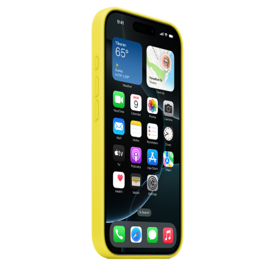 Чехол Apple iPhone 16 Pro Silicone Case with MagSafe - Star Fruit (MYYQ3)