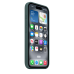 Чехол Apple iPhone 16 Silicone Case with MagSafe - Lake Green (MYY83)