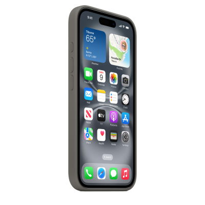 Чехол Apple iPhone 16 Silicone Case with MagSafe - Stone Gray (MYY33)