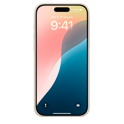 Чохол Beats для iPhone 16 Pro Max з MagSafe and Camera Control - Summit Stone (MCFR4)