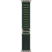 Ремінець Apple Alpine Loop Dark Green - Natural Titanium Finish для Apple Watch 44/45/46/49mm - Medium (MXMV3)