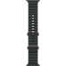 Ремешок Apple Ocean Band Black - Natural Titanium Finish для Apple Watch 44/45/46/49mm (MXTL3)
