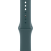 Ремінець Apple Sport Band M/L для Apple Watch 44/45/46/49mm - Lake Green (MXLR3)