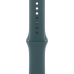 Ремінець Apple Sport Band M/L для Apple Watch 38/40/41/42mm - Lake Green (MAX64, MXLA3)