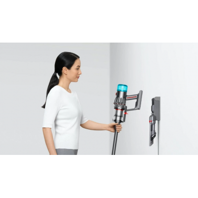 Пылесос Dyson V12 Origin - Nickel (492711-01)