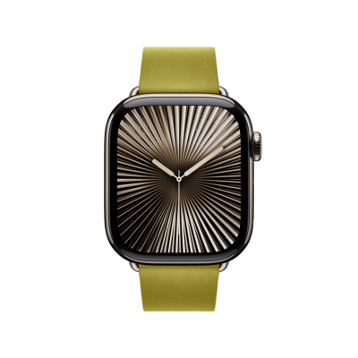 Ремешок Apple Chartreuse Modern Buckle Small для Watch 38/40/41/42mm (MXW63)