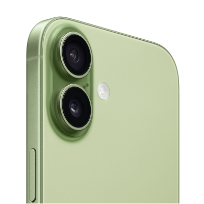 Apple iPhone 17 256GB Sage (MG6N4)