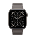 Apple Watch Series 11 GPS + Cellular 42mm Natural Titanium Case with Slate Link Bracelet (MF9H4+MXMD3)