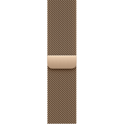 Apple Watch Series 11 GPS + Cellular 42mm Slate Titanium Case з Gold Milanese Loop (MF9K4+MGJ04)