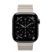 Apple Watch Series 11 GPS + Cellular 42mm Slate Titanium Case with Natural Link Bracelet (MF9K4+MXMA3)