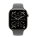 Apple Watch Series 11 GPS + Cellular 46mm Natural Titanium Case з Stone Gray Sport Band - S/M (MFCW4)
