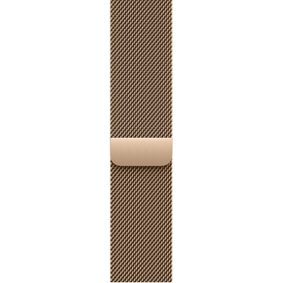Apple Watch Series 11 GPS + Cellular 46mm Slate Titanium Case з Gold Milanese Loop - M/L (MFC14+MGJ54)