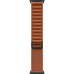 Apple Watch Ultra 3 GPS + Cellular 49mm Black Titanium Case with Terra Cotta Alpine Loop - Large (MF254+MG9F4)