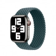 Apple Watch Braided Solo Loop 38mm/40mm/41mm Rainforest - Size 5 (MP903)