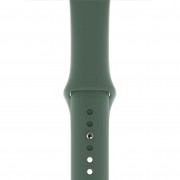 Apple Pine Green Sport Band (MWUR2) для Apple Watch 38/40mm