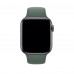Apple Pine Green Sport Band (MWUV2) для Apple Watch 42/44mm