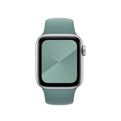 Cactus Sport Band Regular (MXNT2) для Apple Watch 38/40mm