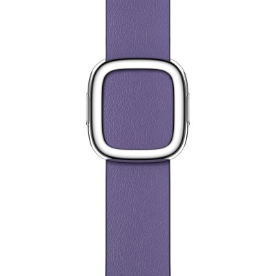 Apple Wisteria Modern Buckle Medium (ML7A3) для Apple Watch 40/41mm