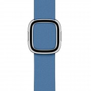 Apple Cornflower Modern Buckle - Large (MV6P2) для Watch 38/40mm