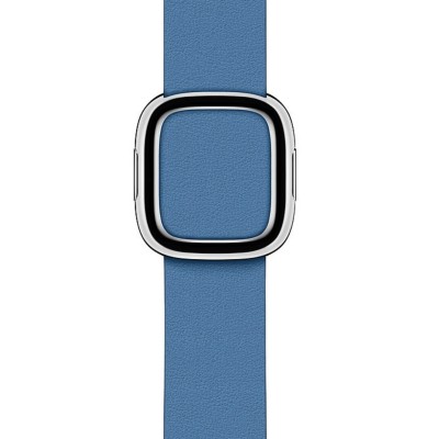 Apple Cornflower Modern Buckle - Large (MV6P2) для Watch 38/40mm