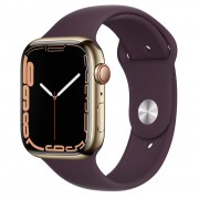 Apple Watch Series 7 GPS + Cellular 41mm Gold Stainless Steel Case with Dark Cherry Sport Band (MKHG3, MKHY3)