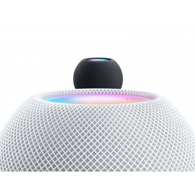 Apple HomePod mini Space Gray (MY5G2)