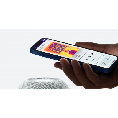 Apple HomePod mini Space Gray (MY5G2)