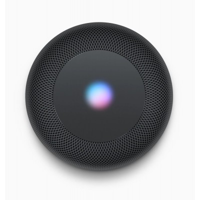 Apple HomePod Space Gray (MQHW2) SWAP