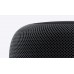 Apple HomePod Space Gray (MQHW2) SWAP