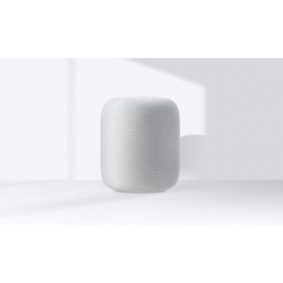 Apple HomePod Space Gray (MQHW2) SWAP